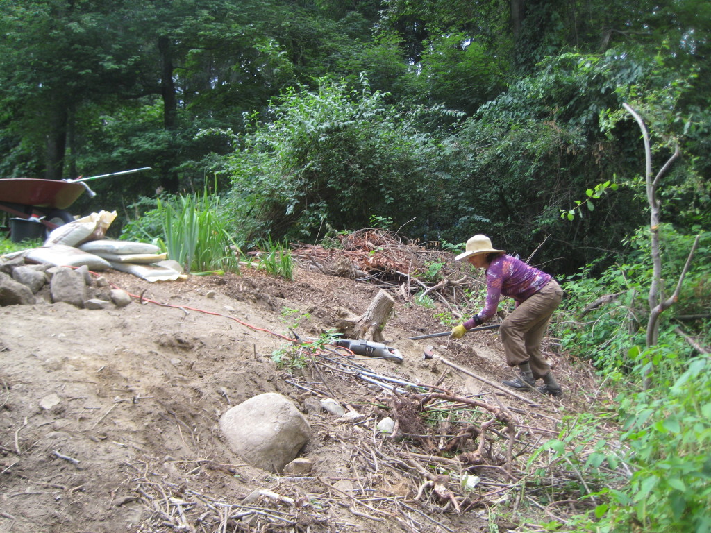 Carol removes a stump after clearing the perimeter of a client's