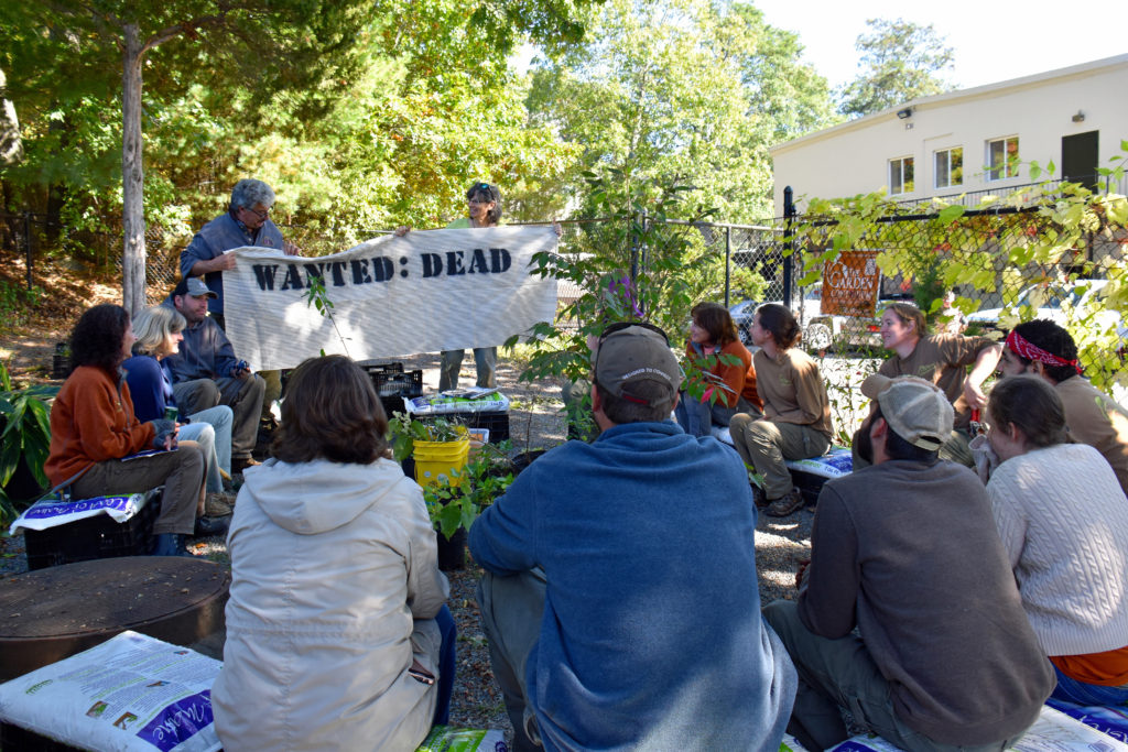 WANTED: DEAD NOT ALIVE invasive plants training at The Garden Continuum