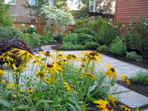 Fine organic gardening - a just-maintained perennial, tree and shrub garden