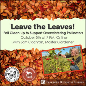 Leave Your Leaves